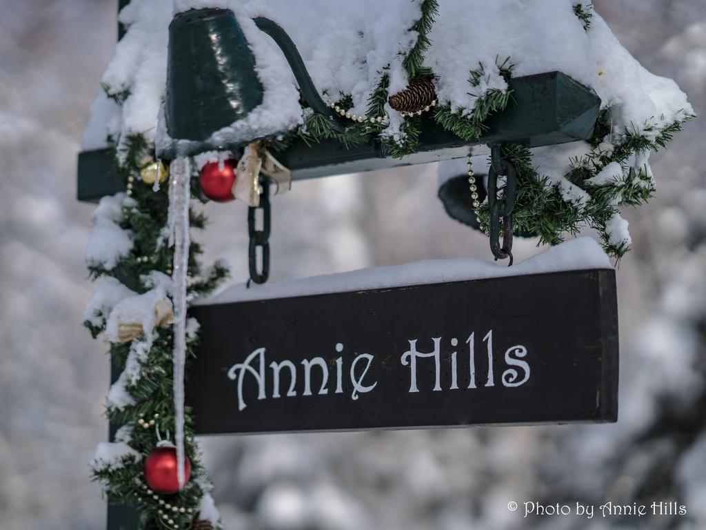 타테시나 Annie Hills B&B 외부 사진
